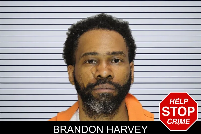 Brandon Harvey mugshot