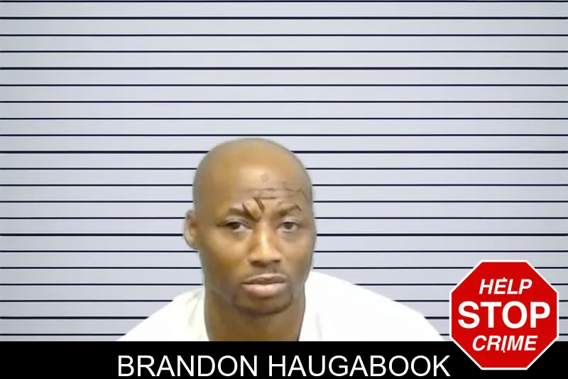 Brandon Haugabook mugshot