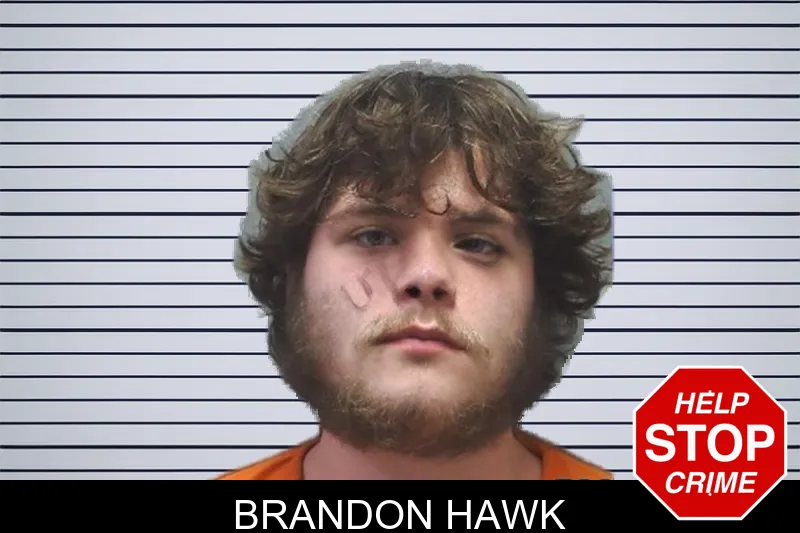 Brandon Hawk mugshot