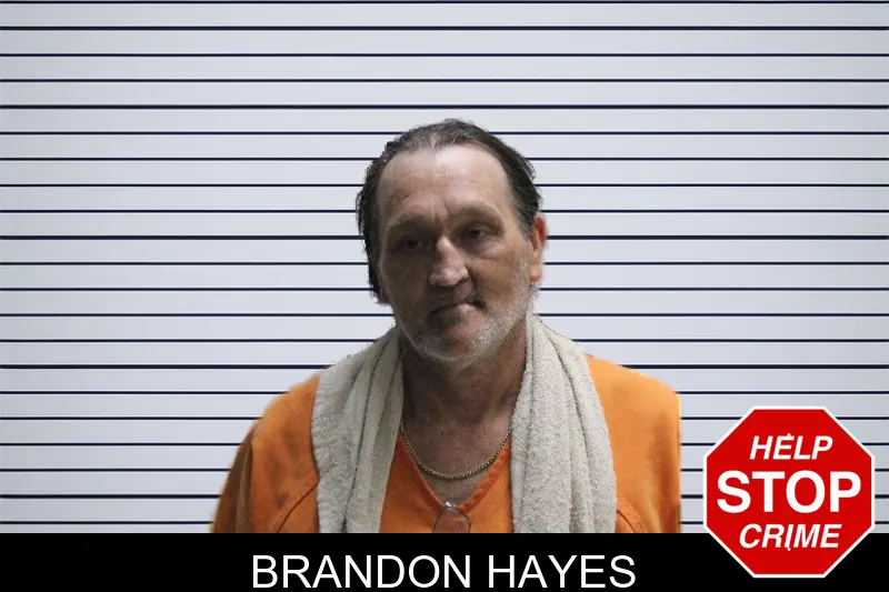 Brandon Hayes mugshot – Murray County , Georgia Brandon Hayes mugshot