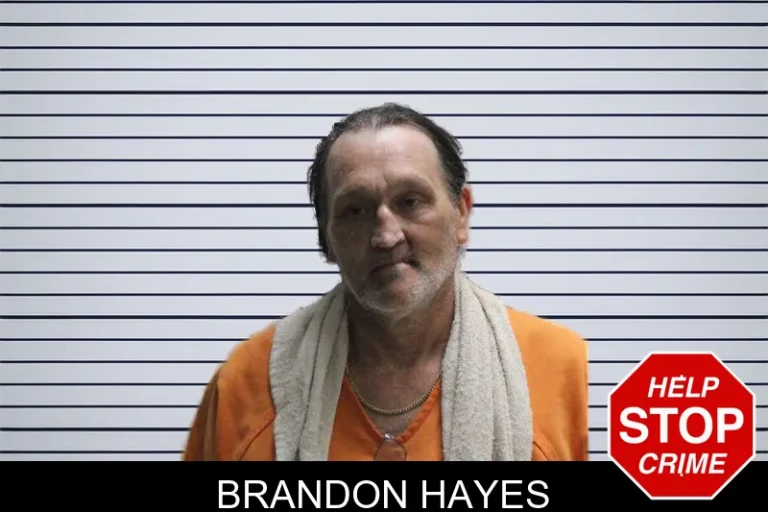 Brandon Hayes mugshot – Murray County , Georgia Brandon Hayes