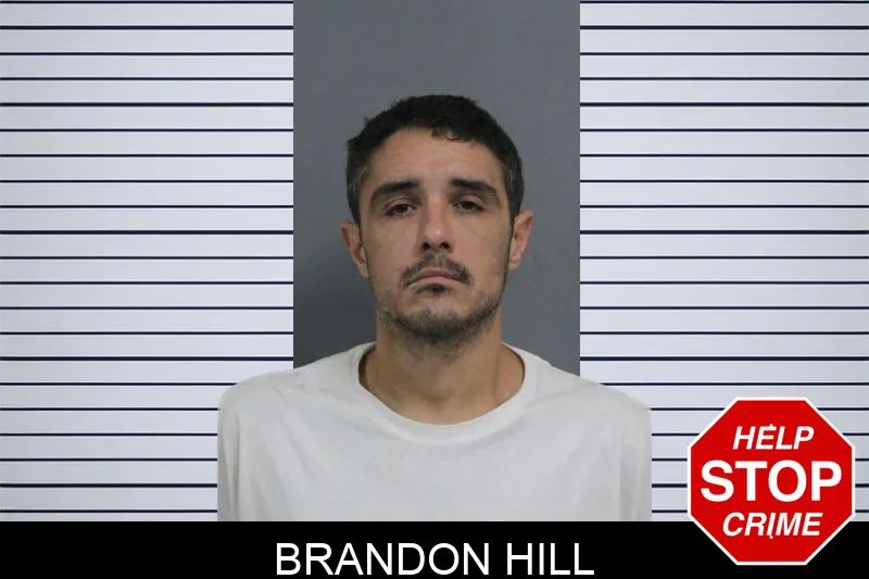 Brandon Hill mugshot