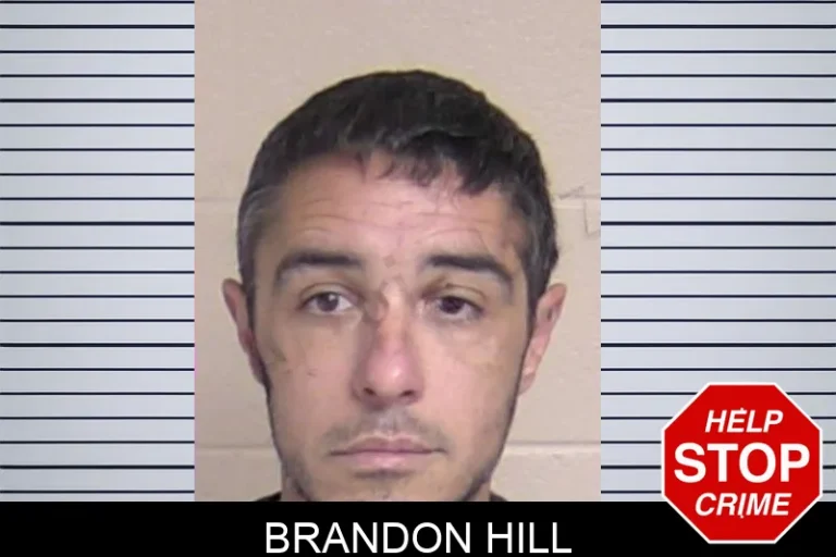 Brandon Hill mugshot – Walker County , Georgia Brandon Hill