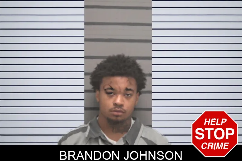 Brandon Johnson mugshot