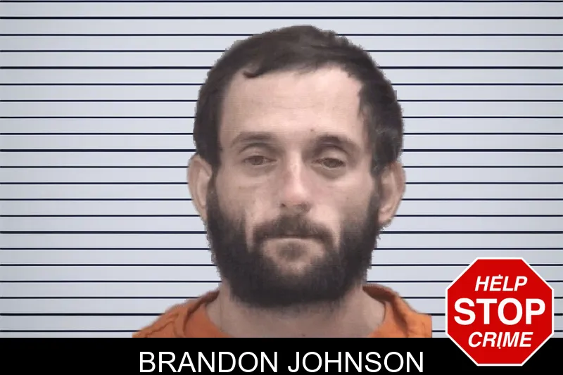 Brandon Johnson mugshot