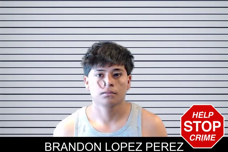 Brandon Lopez Perez mugshot – DeKalb County , Georgia Brandon Lopez Perez mugshot