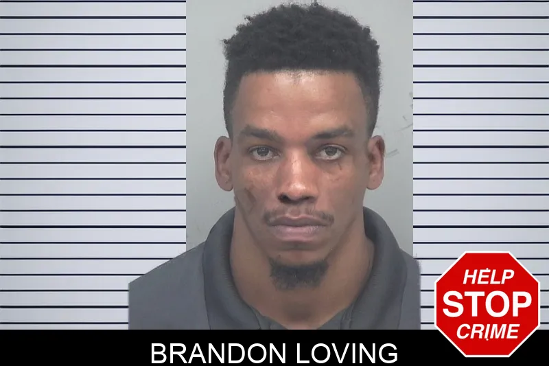 Brandon Loving mugshot