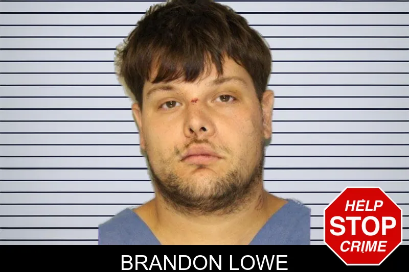 Brandon Lowe mugshot – Hall County , Georgia Brandon Lowe mugshot