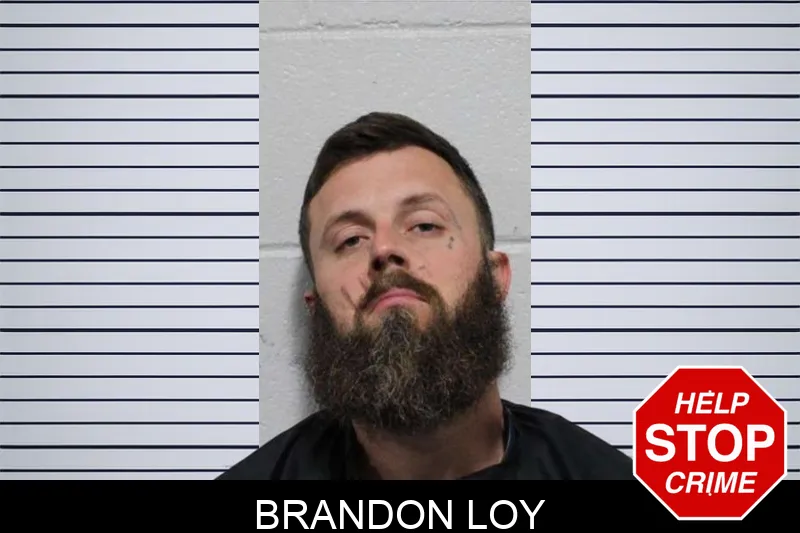 Brandon Loy mugshot