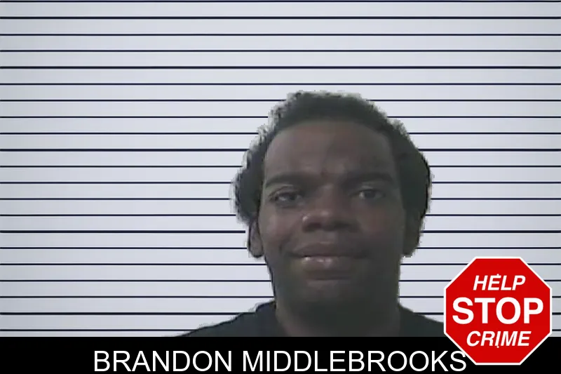 Brandon Middlebrooks mugshot