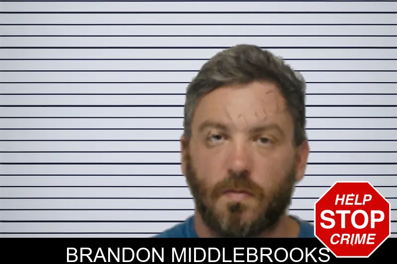 Brandon Middlebrooks mugshot