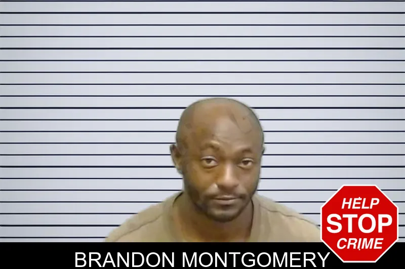 Brandon Montgomery mugshot