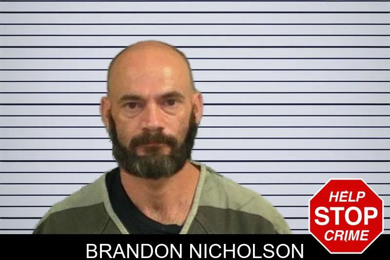 Brandon Nicholson mugshot