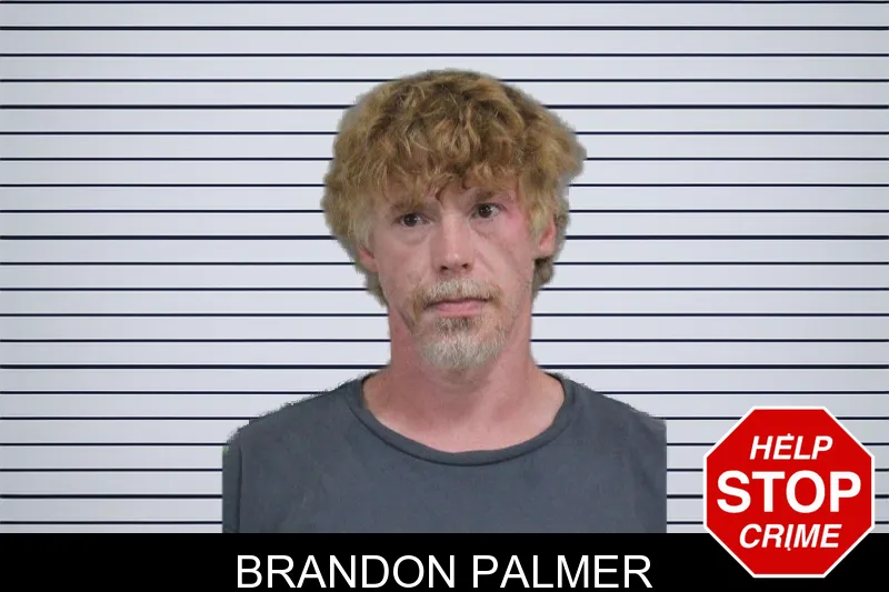 Brandon Palmer mugshot