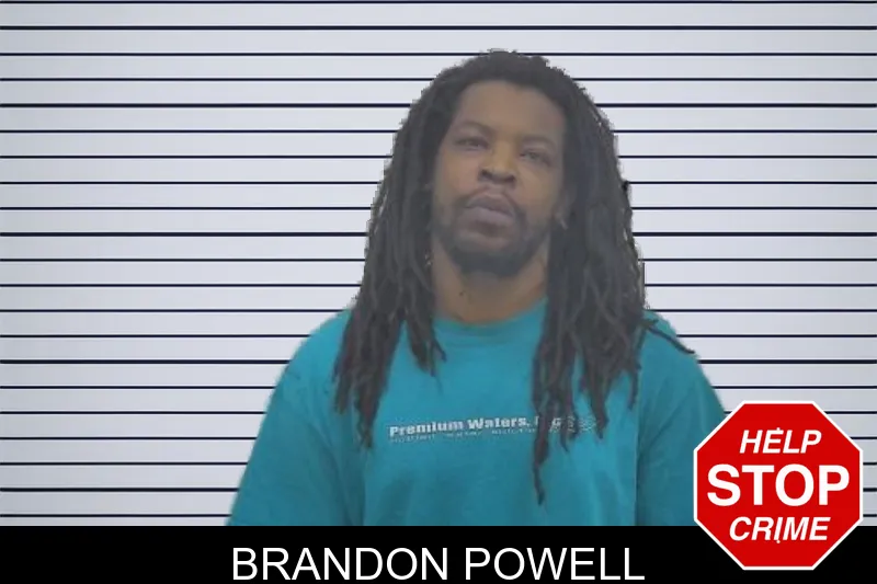 Brandon Powell mugshot