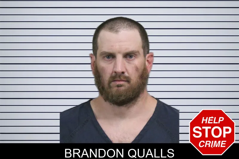 Brandon Qualls mugshot