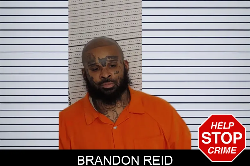 Brandon Reid mugshot