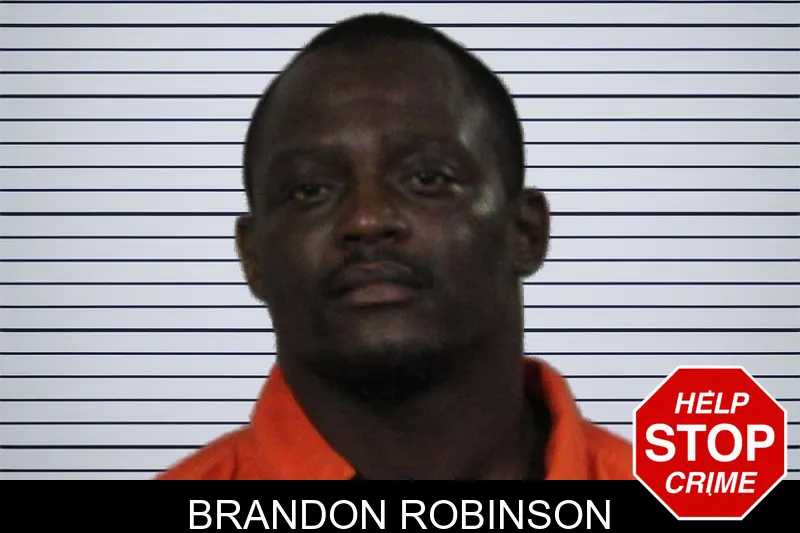 Brandon Robinson mugshot