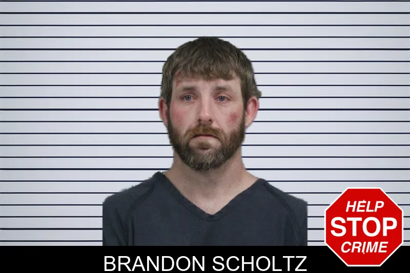 Brandon Scholtz mugshot