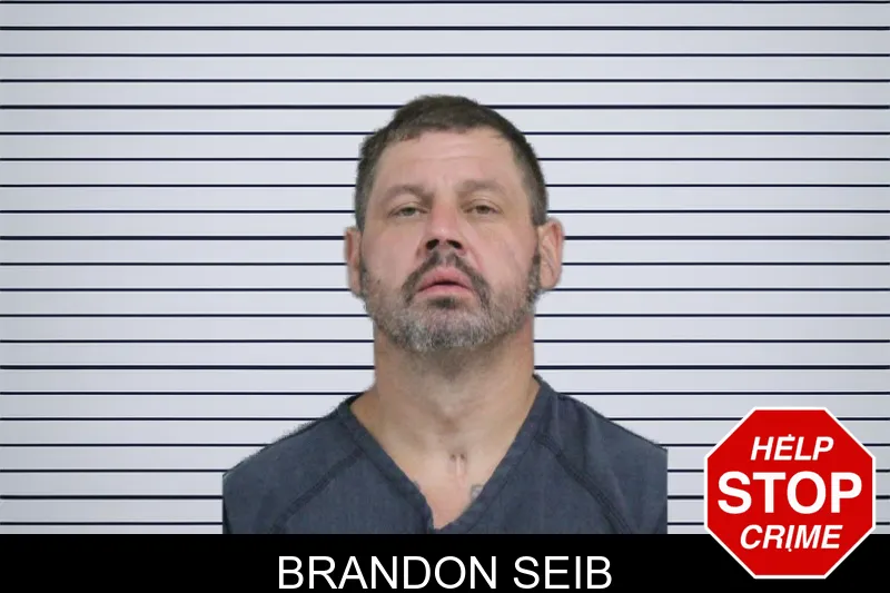 Brandon Seib mugshot