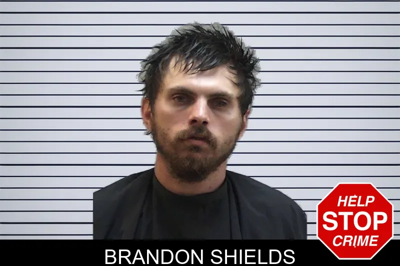 Brandon Shields mugshot