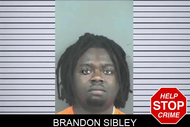 Brandon Sibley mugshot
