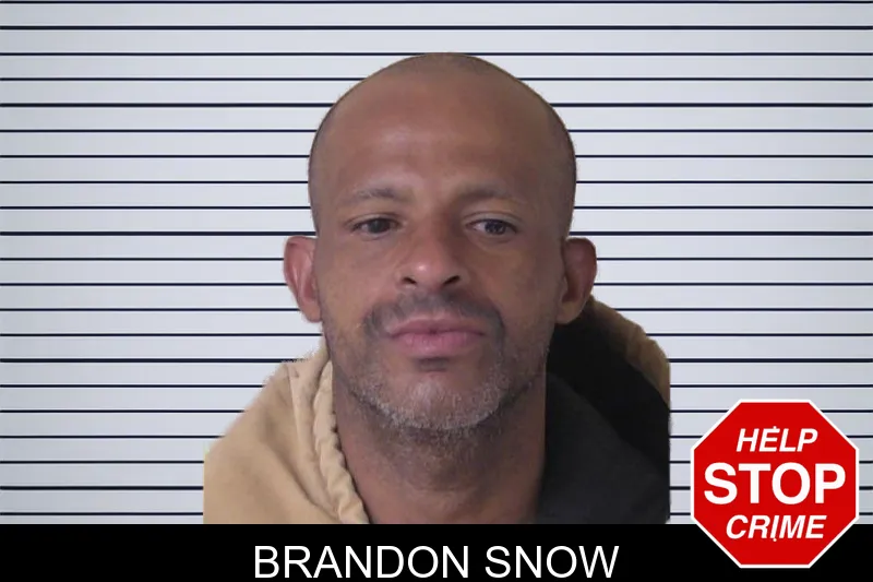 Brandon Snow mugshot