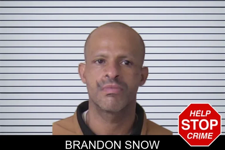 Brandon Snow mugshot – Walker County , Georgia Brandon Snow