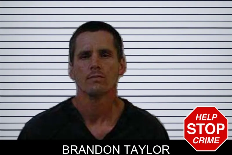 Brandon Taylor mugshot