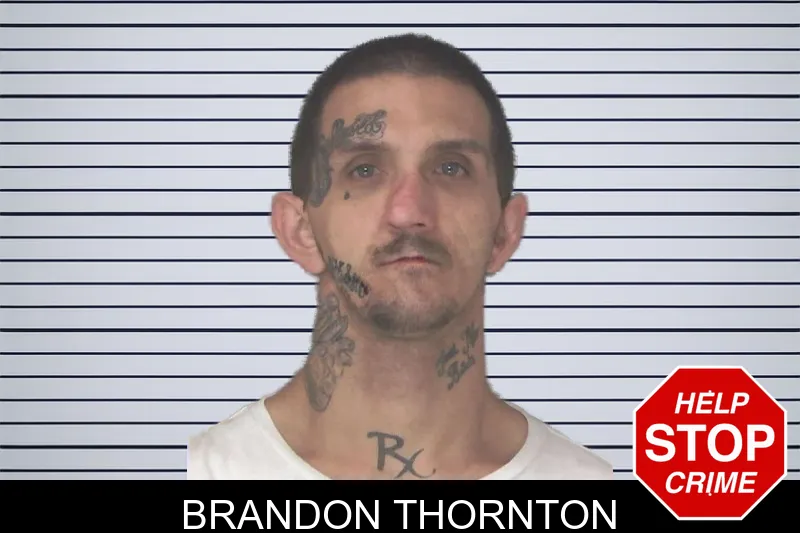 Brandon Thornton mugshot