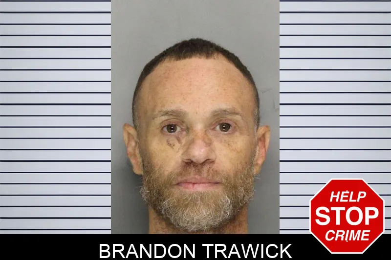 Brandon Trawick mugshot