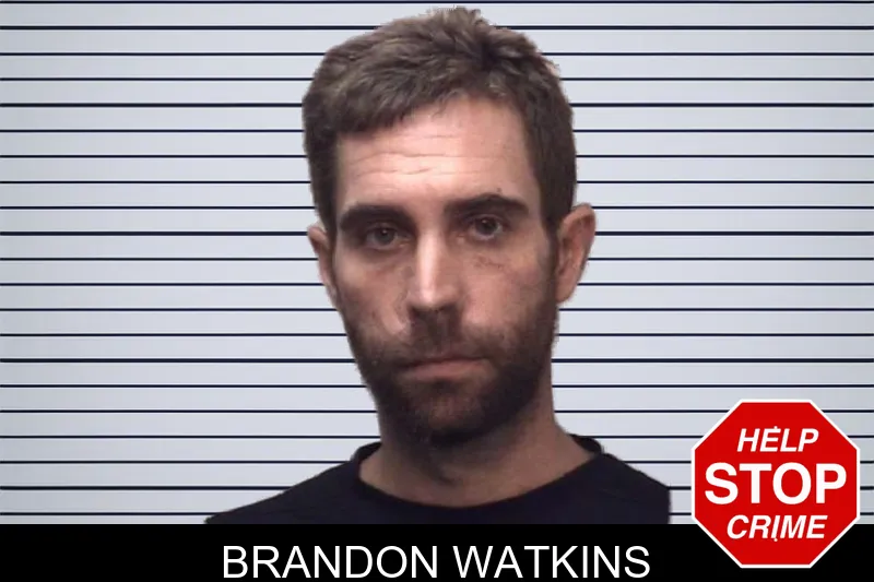Brandon Watkins mugshot