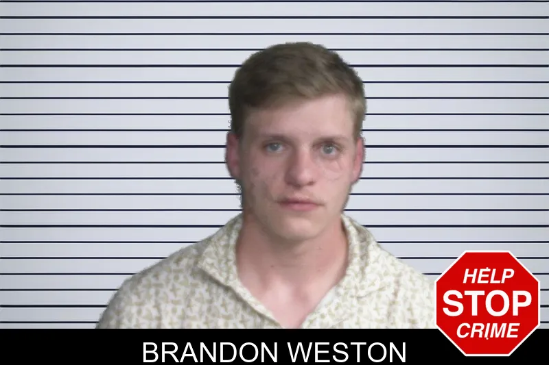 Brandon Weston mugshot – Twiggs County , Georgia Brandon Weston mugshot