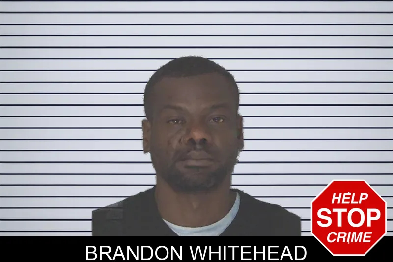 Brandon Whitehead mugshot