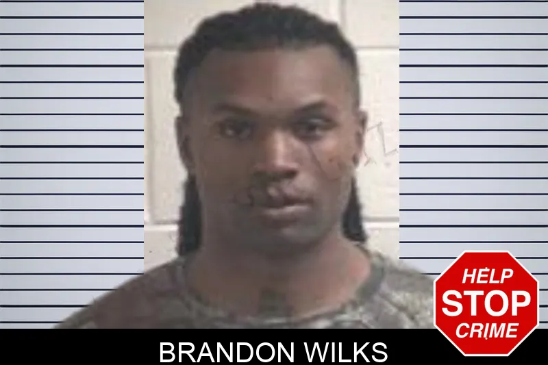 Brandon Wilks mugshot