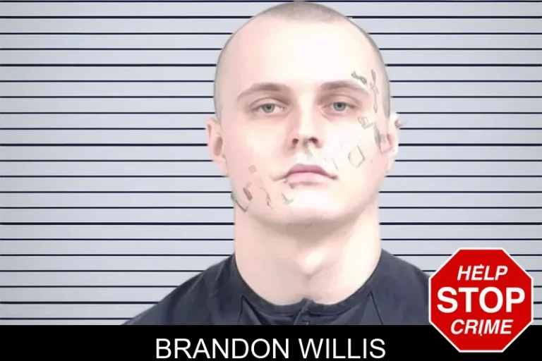 Brandon Willis mugshot – Lowndes County , Georgia Brandon Willis
