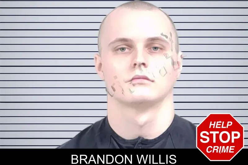 Brandon Willis mugshot – Lowndes County , Georgia Brandon Willis mugshot