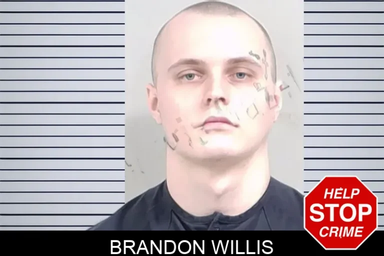 Brandon Willis