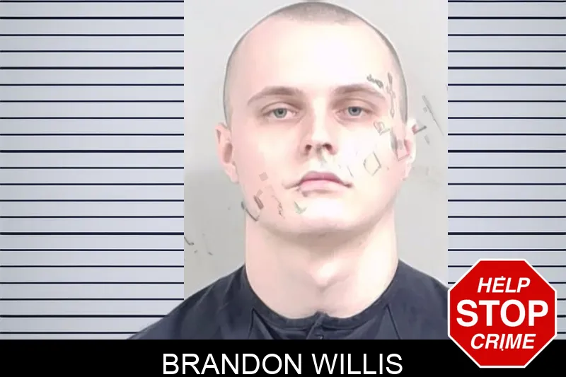 Brandon Willis mugshot