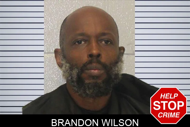Brandon Wilson mugshot
