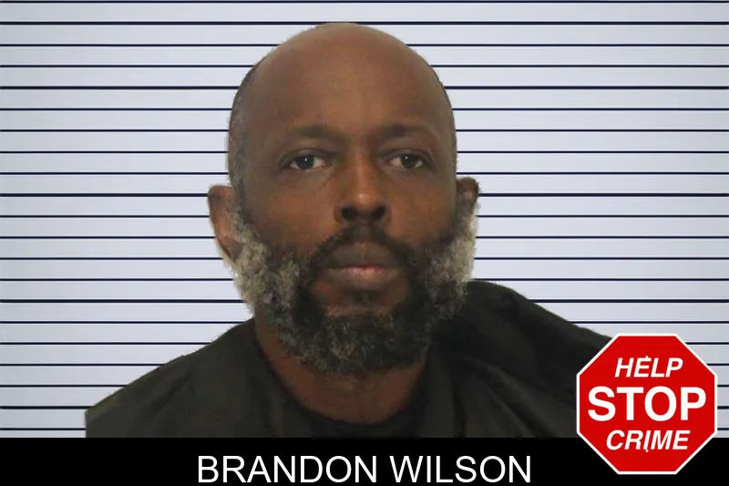 Brandon Wilson mugshot