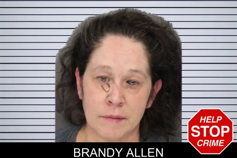Brandy Allen mugshot – Cobb County , Georgia Brandy Allen