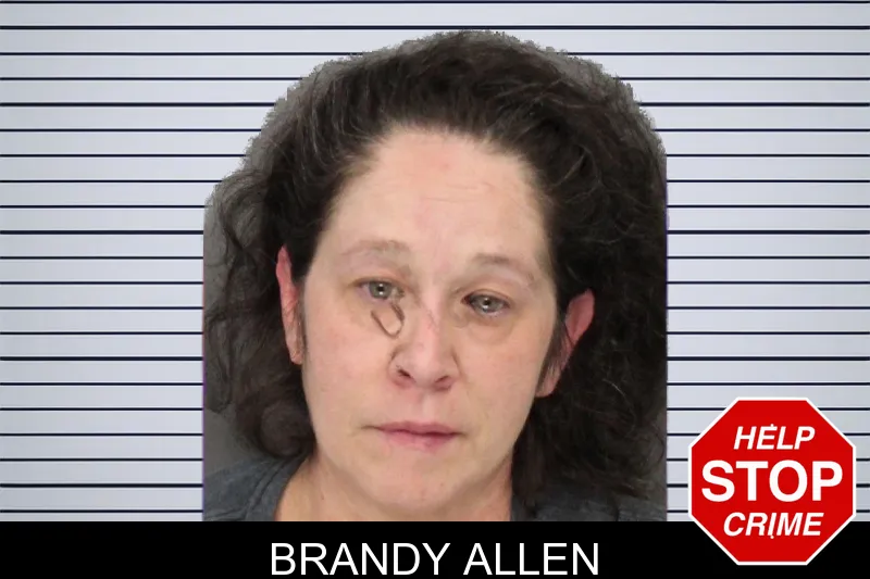 Brandy Allen mugshot – Cobb County , Georgia Brandy Allen mugshot