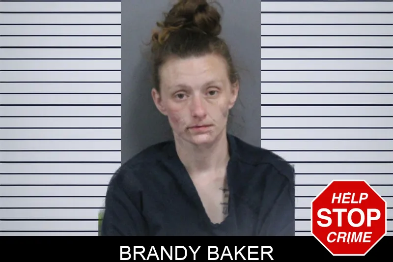 Brandy Baker mugshot – Catoosa County , Georgia Brandy Baker mugshot