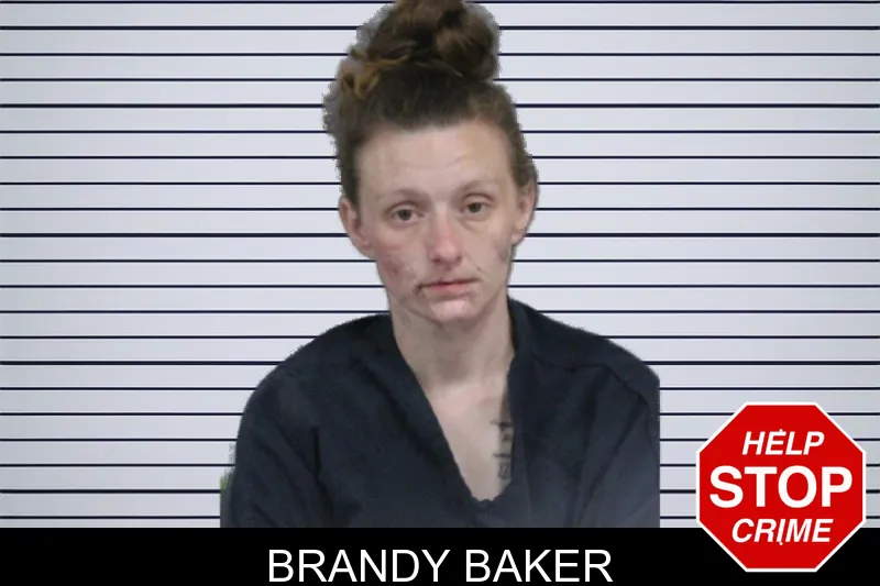 Brandy Baker mugshot – Catoosa County , Georgia Brandy Baker mugshot