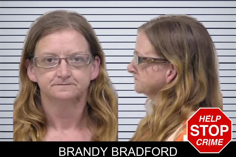 Brandy Bradford mugshot