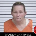 Brandy Cantwell mugshot – Wayne County , Georgia Brandy Cantwell mugshot