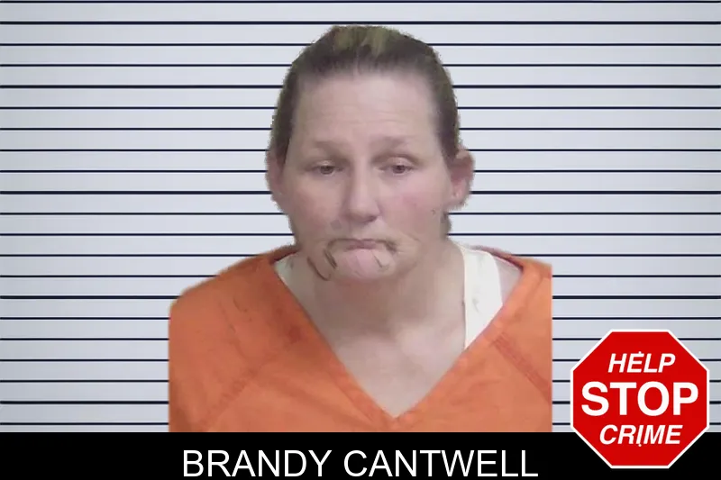 Brandy Cantwell mugshot