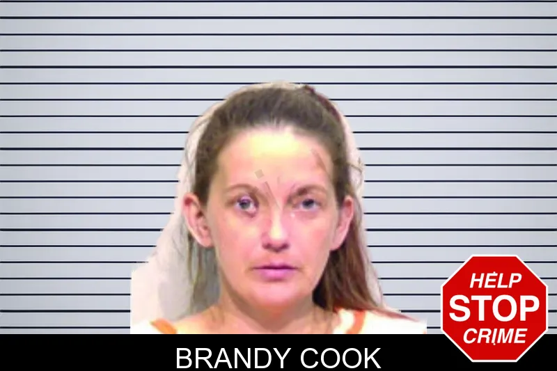 Brandy Cook mugshot