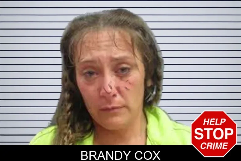Brandy Cox mugshot – Lanier County , Georgia Brandy Cox